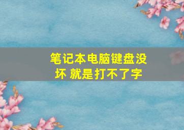 笔记本电脑键盘没坏 就是打不了字